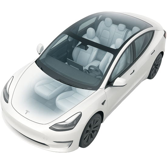 tsla_lix_web
